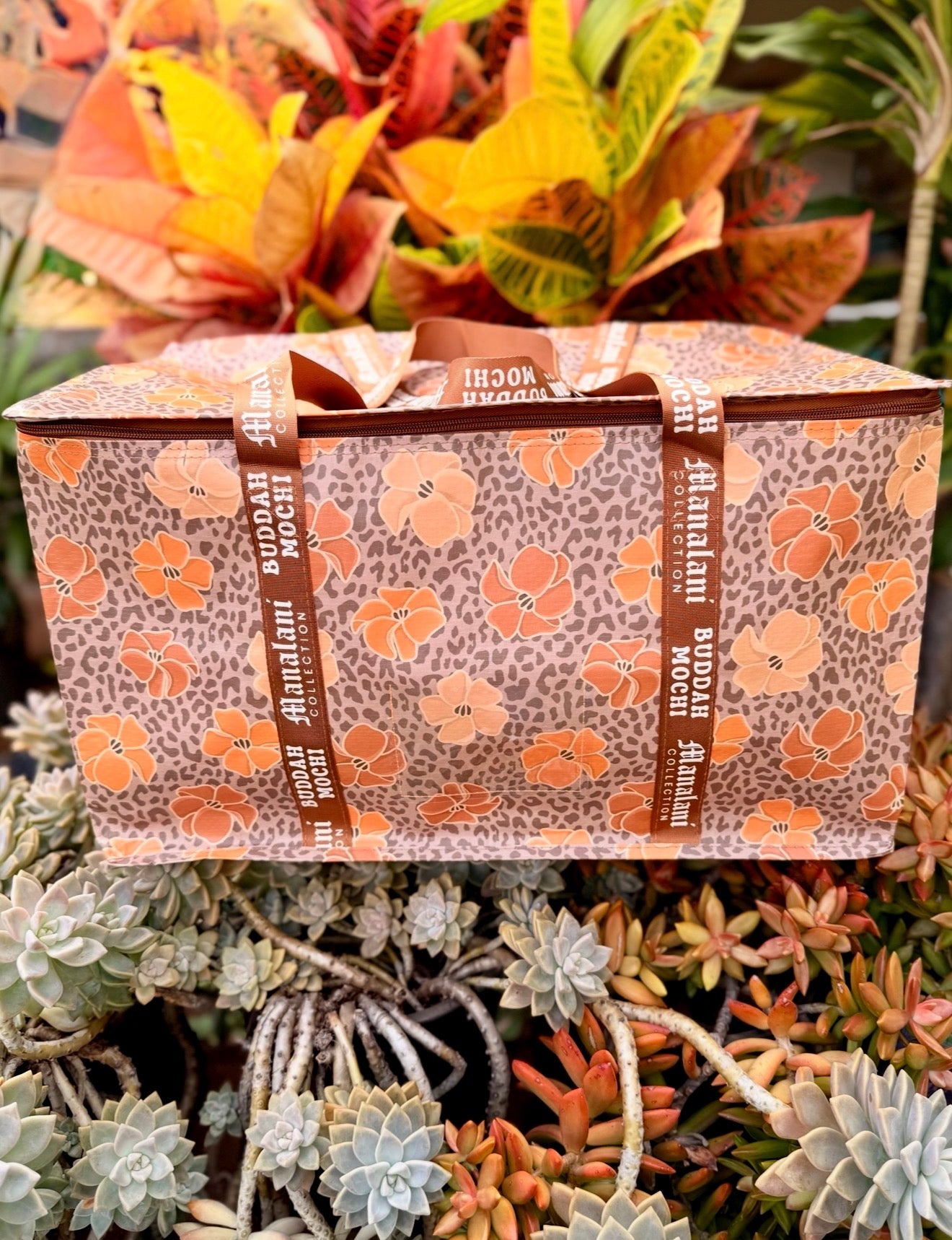 MEIMEI x Manalani | cheetah puakenikeni