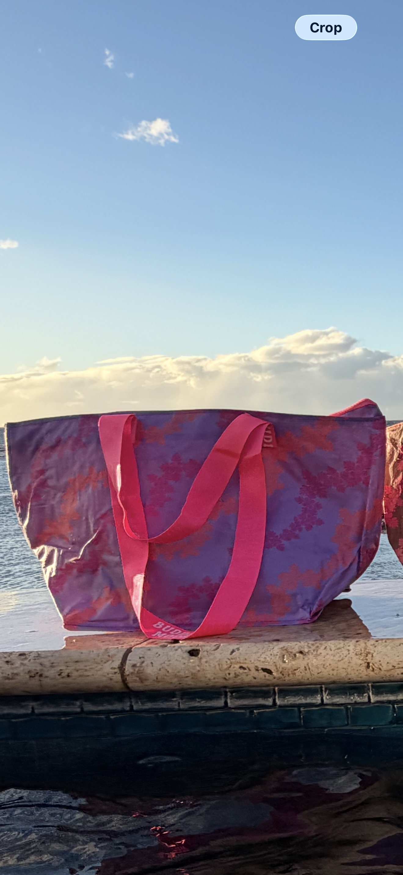 ZIPPED TOKYO x SMALL+ SIMPLE • passion fruit (purple+pink strap)