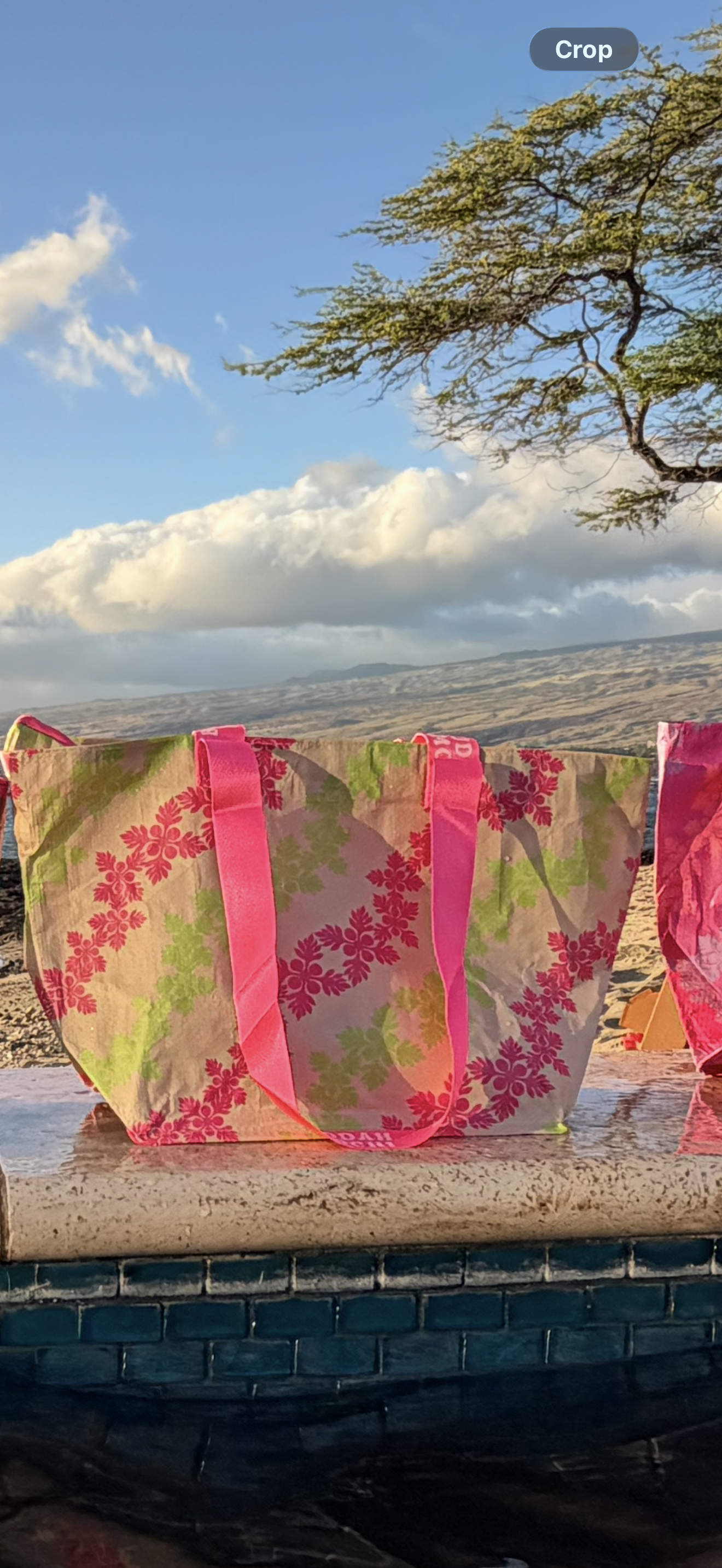 ZIPPED TOKYO x SMALL+ SIMPLE • kiwi (cream+ pink strap)