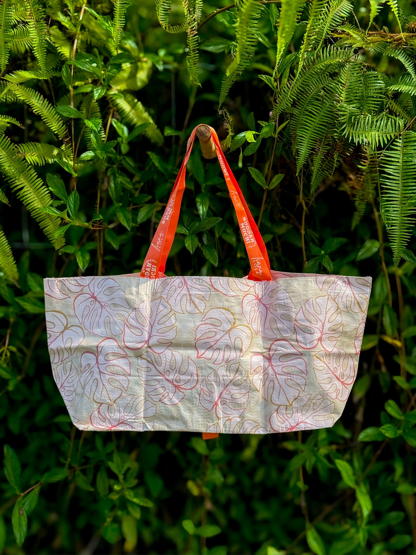 BEBEH x Liana Lola | monstera