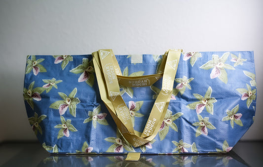 BEBEH x ShopErika | orchid