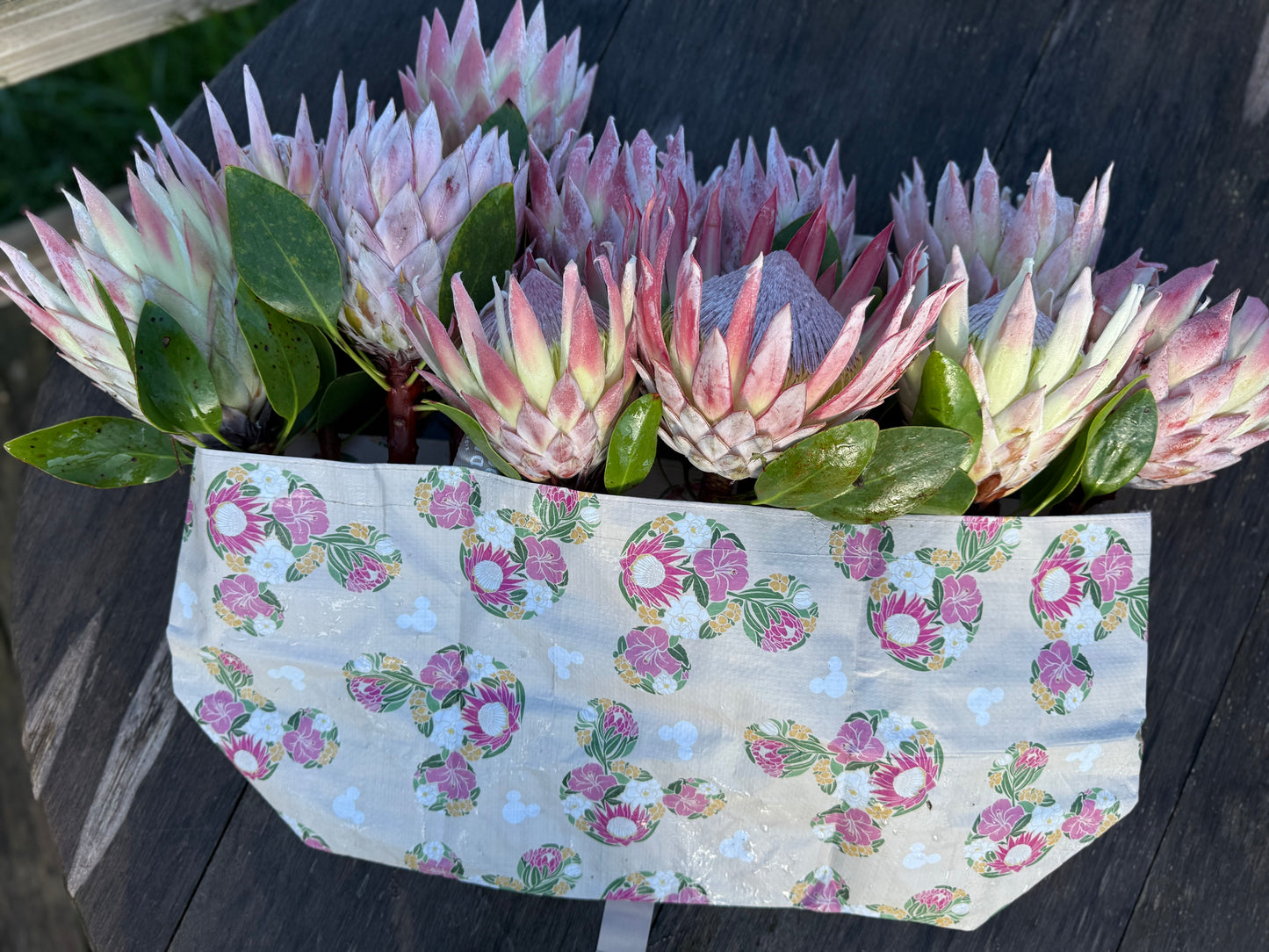 BEBEH x BM exclusive | bloom (cream dream)