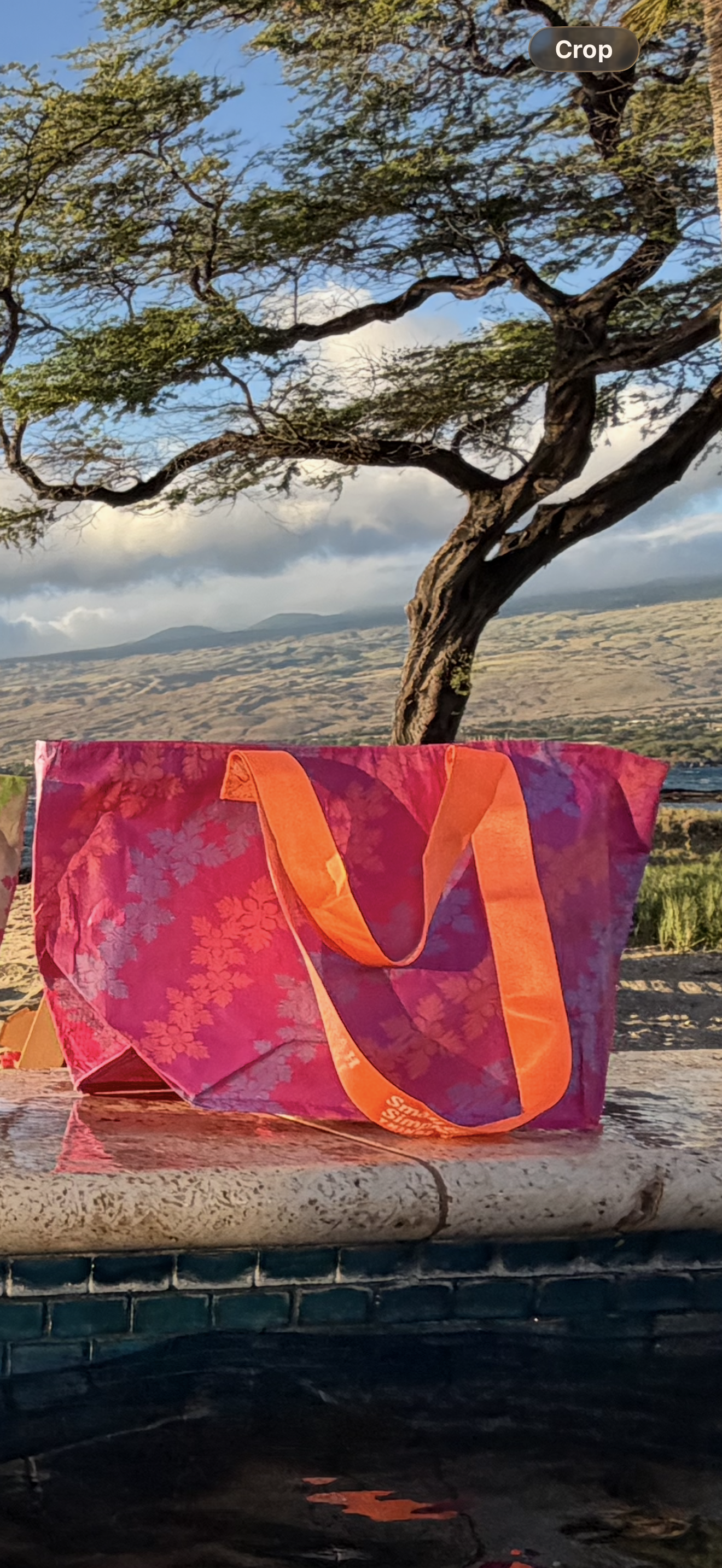 ZIPPED TOKYO x SMALL+ SIMPLE • dragon fruit  (pink+ orange strap)